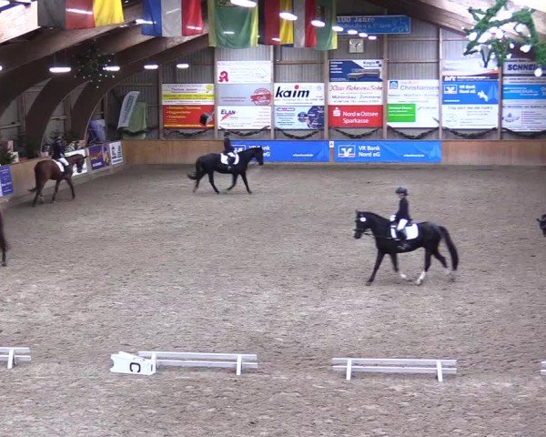 Reitturnier Leck 2024