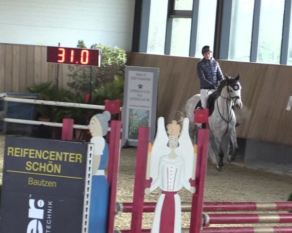 Reitturnier Zwickau 2024