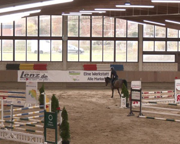 Reitturnier Oelde 2024