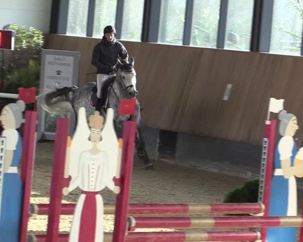 Reitturnier Zwickau 2024