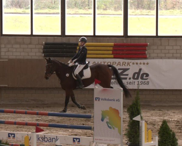 Reitturnier Oelde 2024