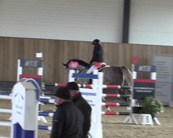 Reitturnier Zwickau 2024
