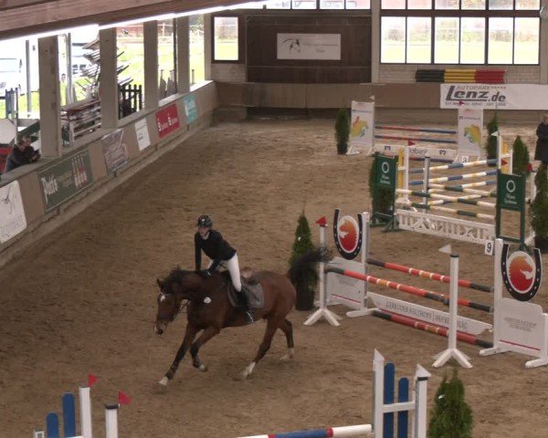 Reitturnier Oelde 2024