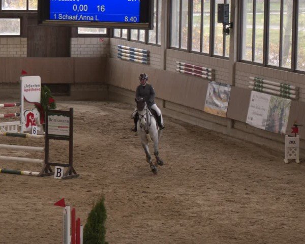 Reitturnier Oelde 2024