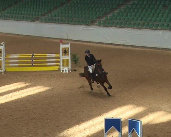 Reitturnier Kreuth/Opf. 2024