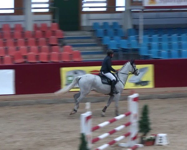 Reitturnier Neustadt/Dosse - Graf von Lindenau-Halle 2024