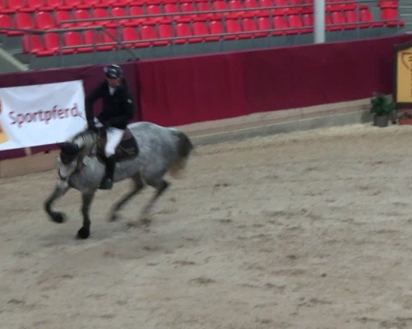 Reitturnier Neustadt/Dosse - Graf von Lindenau-Halle 2024
