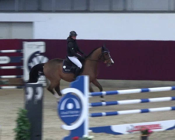 Reitturnier Neustadt/Dosse - Graf von Lindenau-Halle 2024