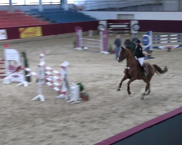 Reitturnier Neustadt/Dosse - Graf von Lindenau-Halle 2024