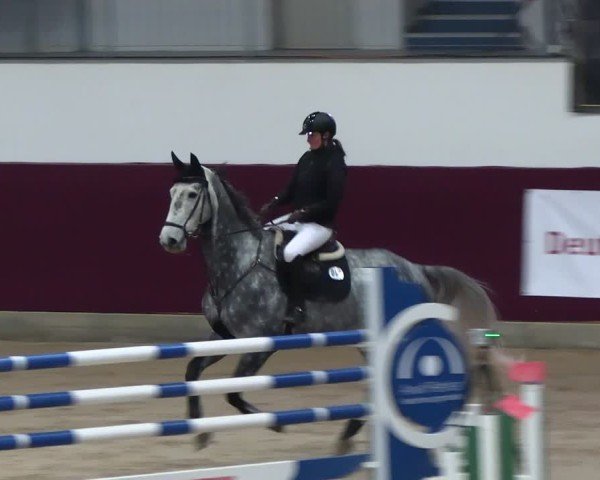 Reitturnier Neustadt/Dosse - Graf von Lindenau-Halle 2024