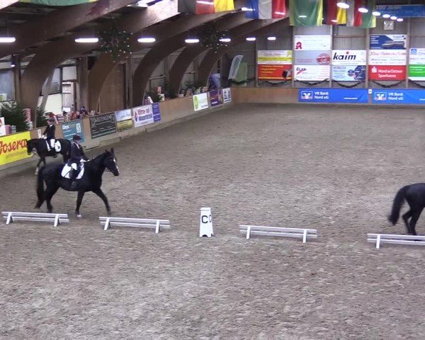 Reitturnier Leck 2024