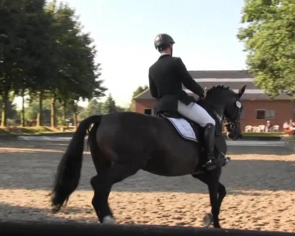 Datteln 2013