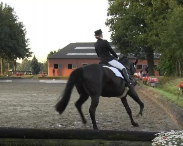 Datteln 2013