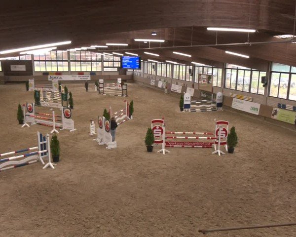 Reitturnier Oelde 2024