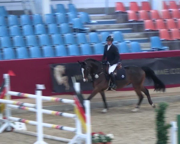 Reitturnier Neustadt/Dosse - Graf von Lindenau-Halle 2024