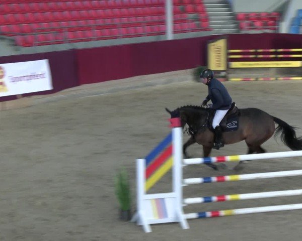 Reitturnier Neustadt/Dosse - Graf von Lindenau-Halle 2024
