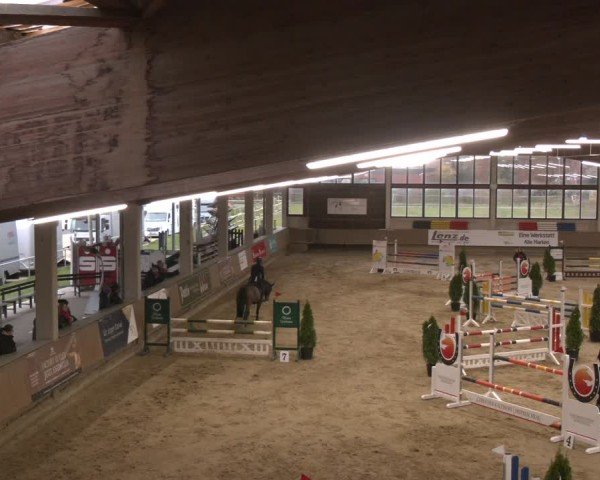 Reitturnier Oelde 2024