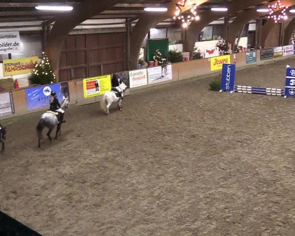 Reitturnier Leck 2024