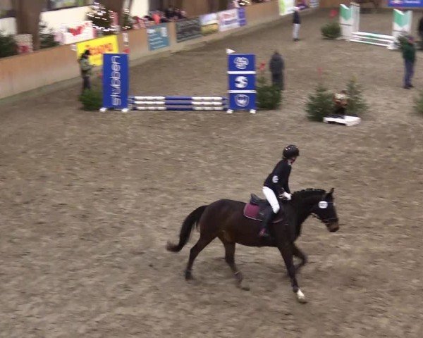 Reitturnier Leck 2024