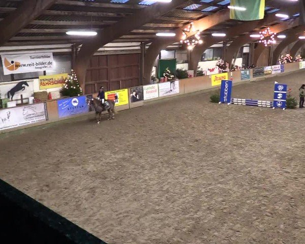 Reitturnier Leck 2024