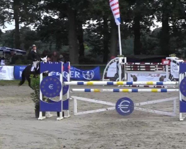 Datteln 2013