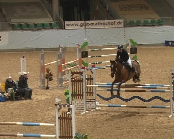 Reitturnier Kreuth/Opf. 2024