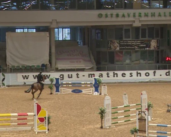 Reitturnier Kreuth/Opf. 2024
