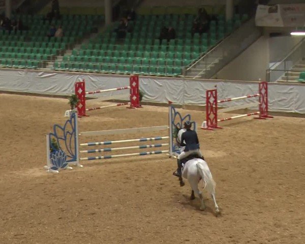 Reitturnier Kreuth/Opf. 2024