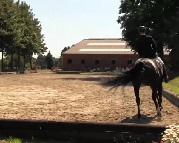 Datteln 2013
