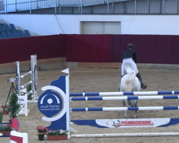 Reitturnier Neustadt/Dosse - Graf von Lindenau-Halle 2024