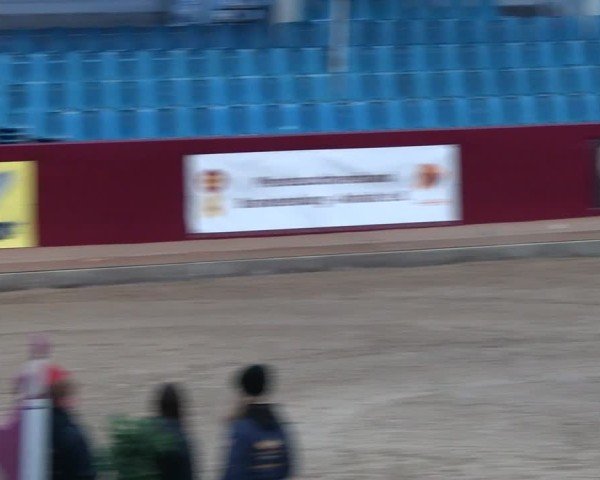 Reitturnier Neustadt/Dosse - Graf von Lindenau-Halle 2024