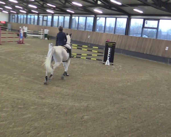 Reitturnier Zwickau 2024