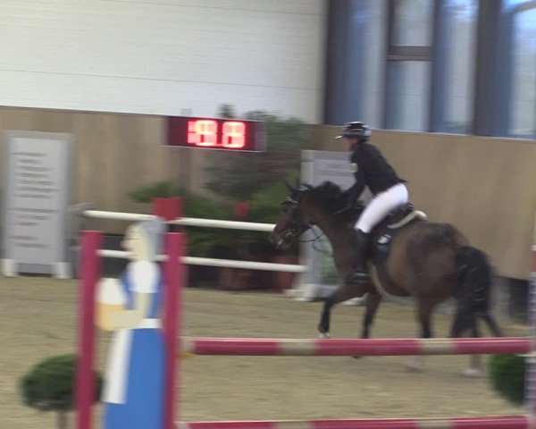 Reitturnier Zwickau 2024