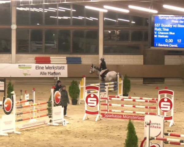 Reitturnier Oelde 2024