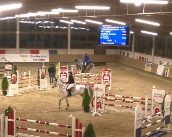 Reitturnier Oelde 2024