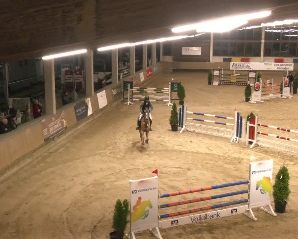 Reitturnier Oelde 2024