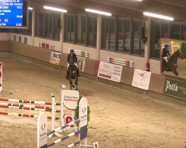 Reitturnier Oelde 2024