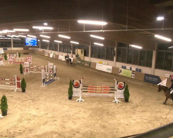 Reitturnier Oelde 2024
