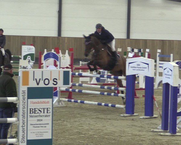 Reitturnier Zwickau 2024