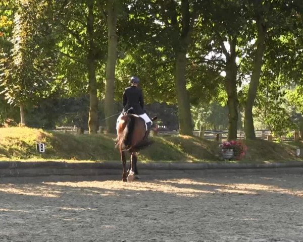 Datteln 2013