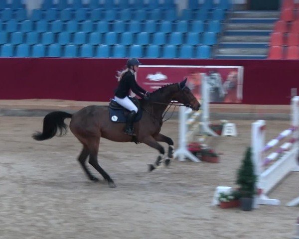 Reitturnier Neustadt/Dosse - Graf von Lindenau-Halle 2024