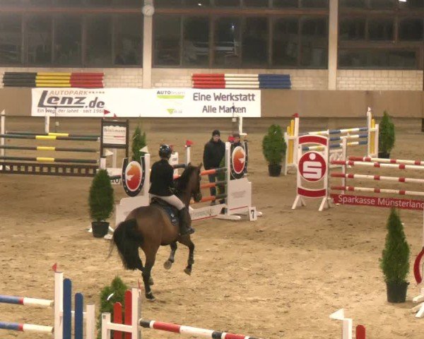 Reitturnier Oelde 2024