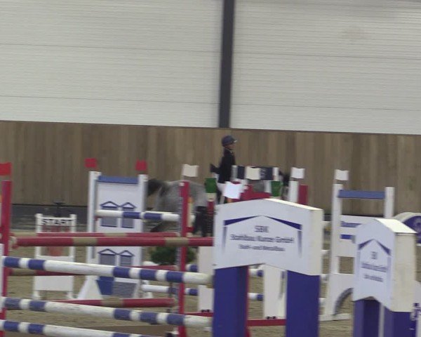 Reitturnier Zwickau 2024