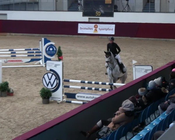 Reitturnier Neustadt/Dosse - Graf von Lindenau-Halle 2024