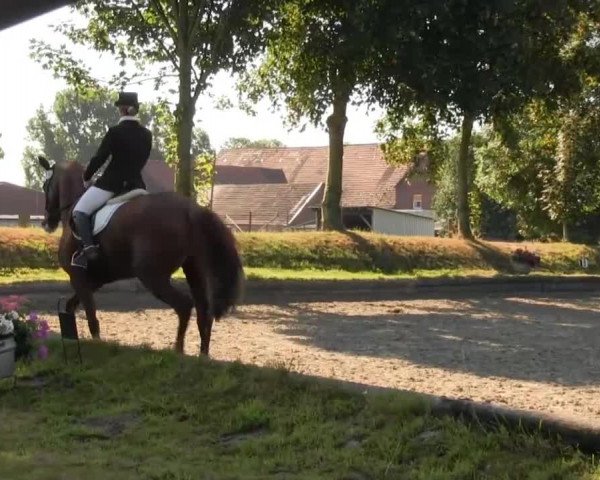 Datteln 2013