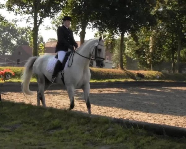 Datteln 2013
