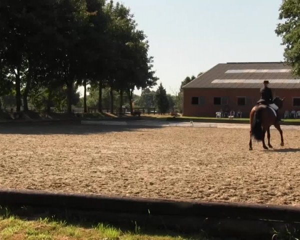Datteln 2013