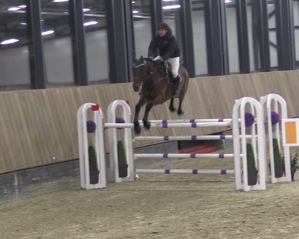 Reitturnier Zwickau 2024