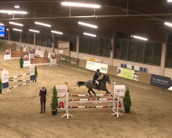 Reitturnier Oelde 2024