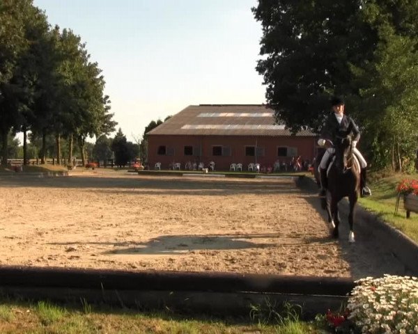Datteln 2013